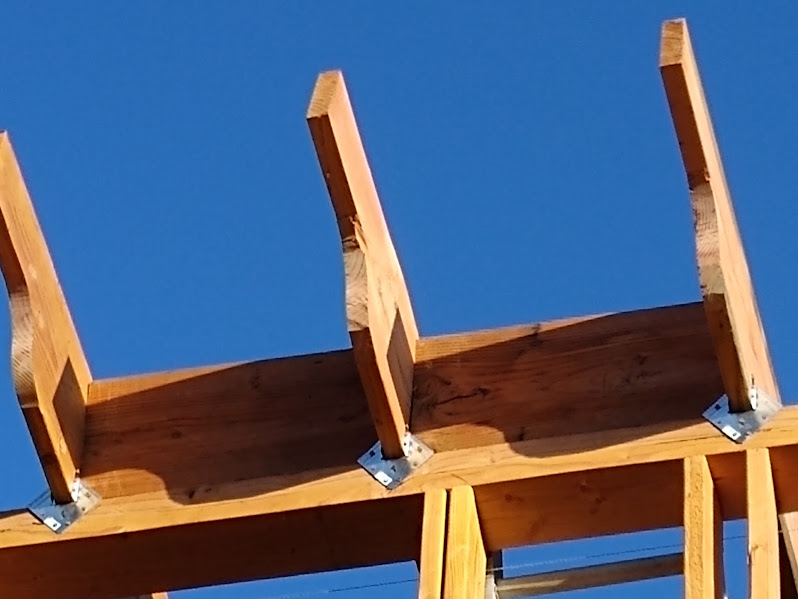 Extended rafter tails with aligned outriggers