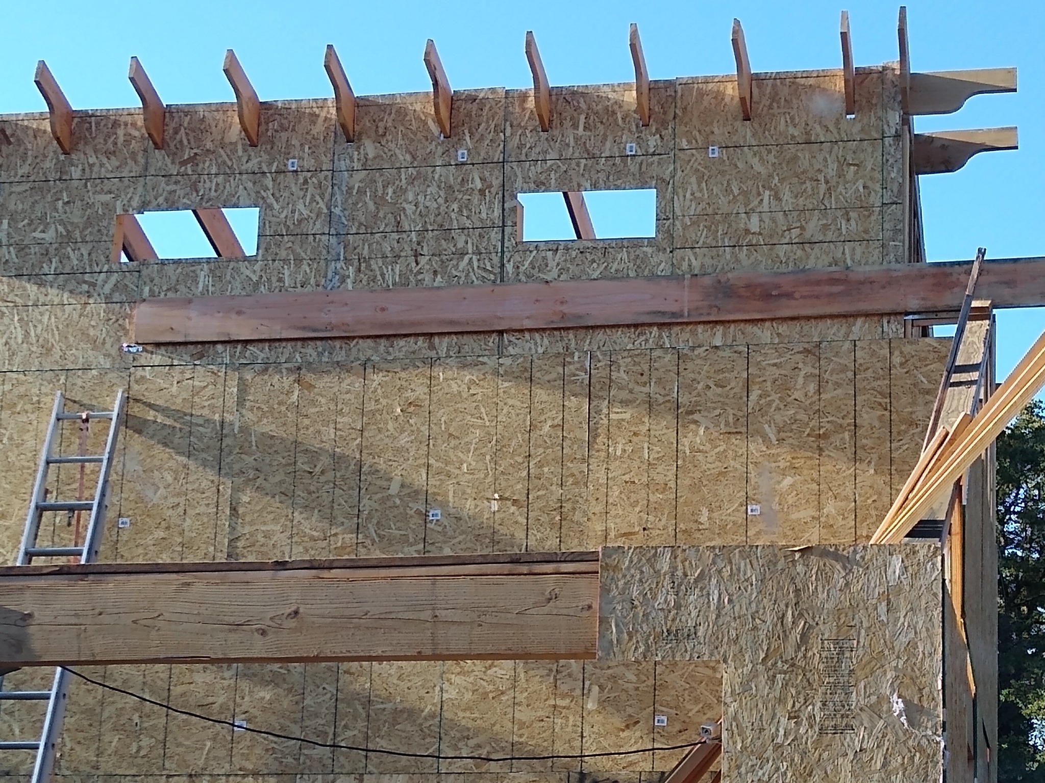 Sheathed structure with window openings